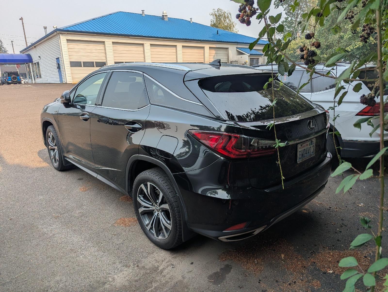2021 Lexus RX RX 350