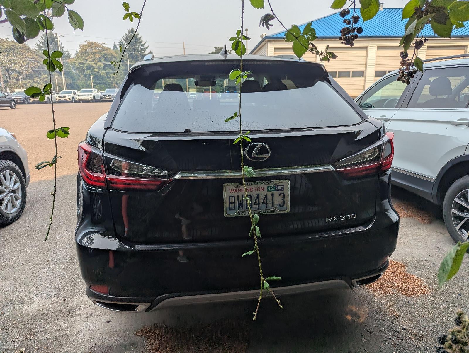 2021 Lexus RX RX 350