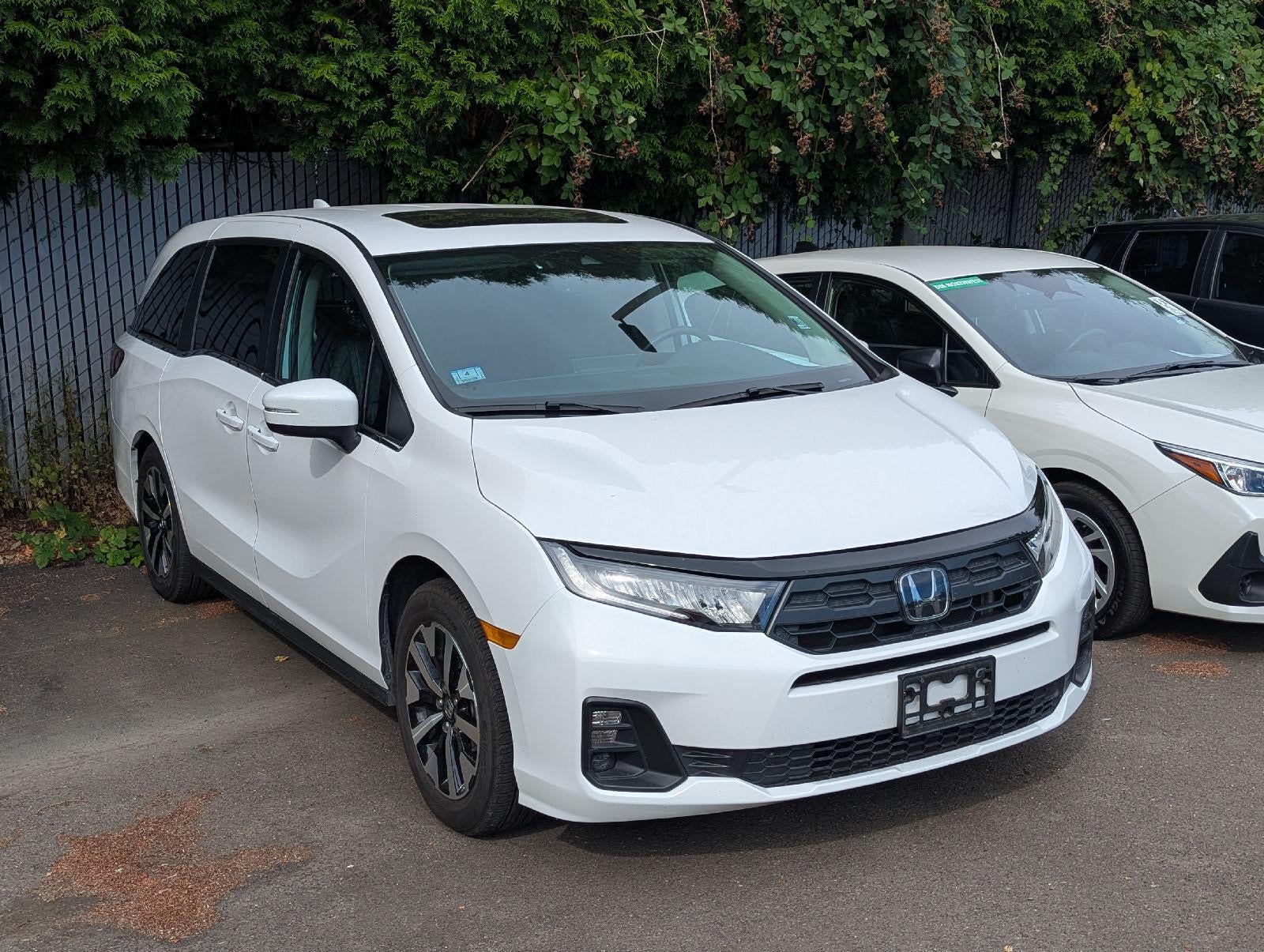 2025 Honda Odyssey EX-L