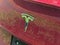 2019 Tesla Model 3 Mid Range